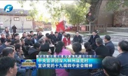 林州市最新爆料新闻网